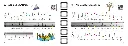 Groß (106359_12).webp
