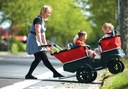 Turtle Kinderbus 4 Kinder