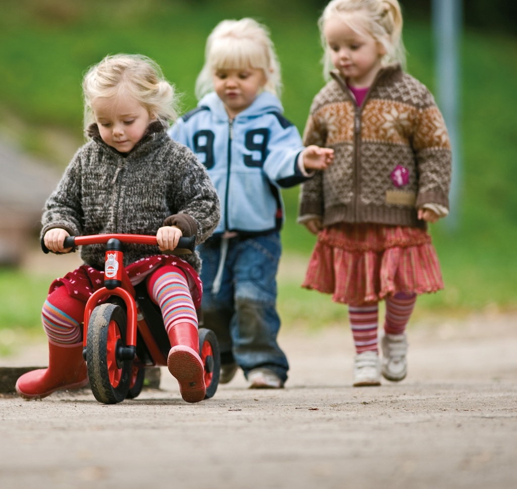Mini Scooter