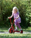 Mini Dreirad Roller