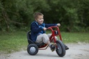 Viking Explorer Slalom Tricycle