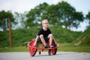 VIKING CHALLENGE Wheely Rider