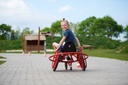 VIKING CHALLENGE Wheely Rider