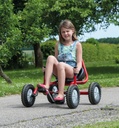 Viking Explorer Fun Cart Large