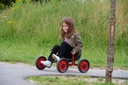 Viking Fun Cart
