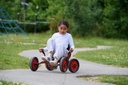 Viking Fun Cart