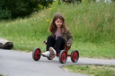 Viking Fun Cart