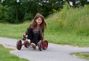 Viking Fun Cart