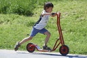 Roller groß