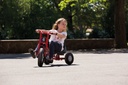 Viking Explorer Zlalom Tricycle Large