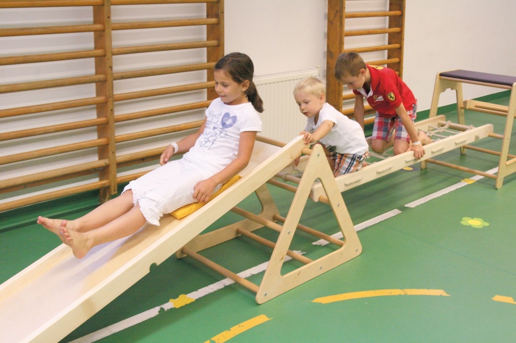 Gym Dreiecksbock