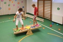 Gym Wippbock 