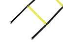 Agility Leiter