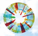 Rundfolie - 50er Set