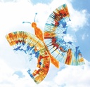 Rundfolie - 50er Set