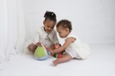 Bio Shape Sorter