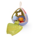 Bio Shape Sorter