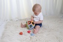 Bio Shape Sorter