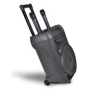 Kabellose Trolley-Lautsprecherbox mit 2 Mikrofonen