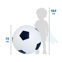 Riesen Fußball mit Pumpe