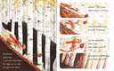 die-streithoernchen-gebundene-ausgabe-rachel-bright.jpeg-2.webp