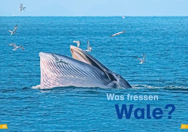 was-ist-was-erstes-lesen-band-1-wale-und-delfine-gebundene-ausgabe-christina-braun-3.webp