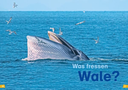 was-ist-was-erstes-lesen-band-1-wale-und-delfine-gebundene-ausgabe-christina-braun-3.webp