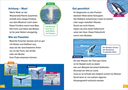 was-ist-was-erstes-lesen-band-1-wale-und-delfine-gebundene-ausgabe-christina-braun-2.webp