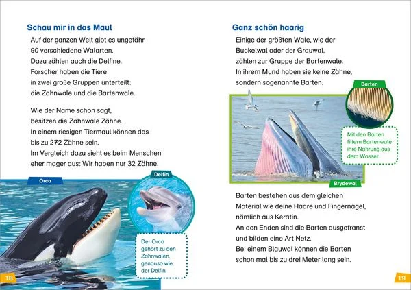 was-ist-was-erstes-lesen-band-1-wale-und-delfine-gebundene-ausgabe-christina-braun.jpeg-6.webp
