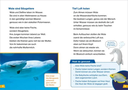 was-ist-was-erstes-lesen-band-1-wale-und-delfine-gebundene-ausgabe-christina-braun.jpeg-3.webp