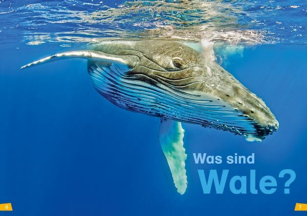 was-ist-was-erstes-lesen-band-1-wale-und-delfine-gebundene-ausgabe-christina-braun.webp