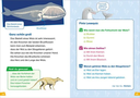 was-ist-was-erstes-lesen-band-1-wale-und-delfine-gebundene-ausgabe-christina-braun.jpeg-5.webp