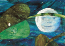 die-kleine-raupe-nimmersatt-kamishibai-bildkartenset-box-eric-carle.webp