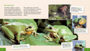 meine-grosse-tierbibliothek-der-frosch-gebundene-ausgabe-paul-starosta.webp