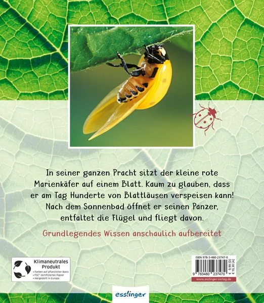 meine-grosse-tierbibliothek-der-marienkaefer-gebundene-ausgabe-valerie-tracqui.jpeg.webp