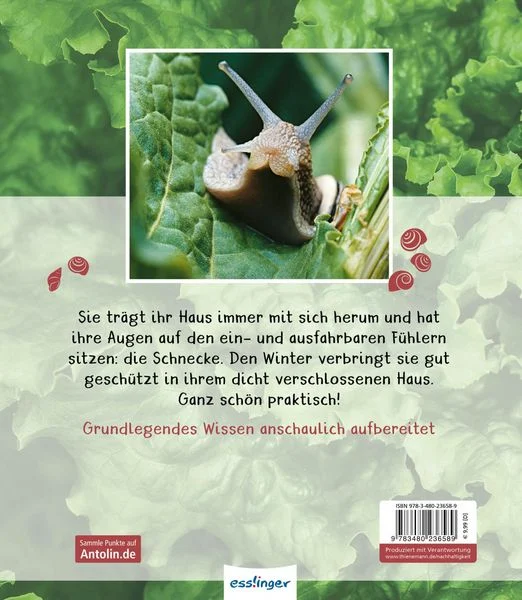 meine-grosse-tierbibliothek-die-schnecke-gebundene-ausgabe-paul-starosta.jpeg.webp