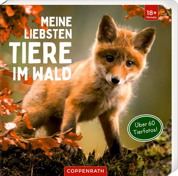 meine-liebsten-tiere-im-wald-gebundene-ausgabe-4.webp