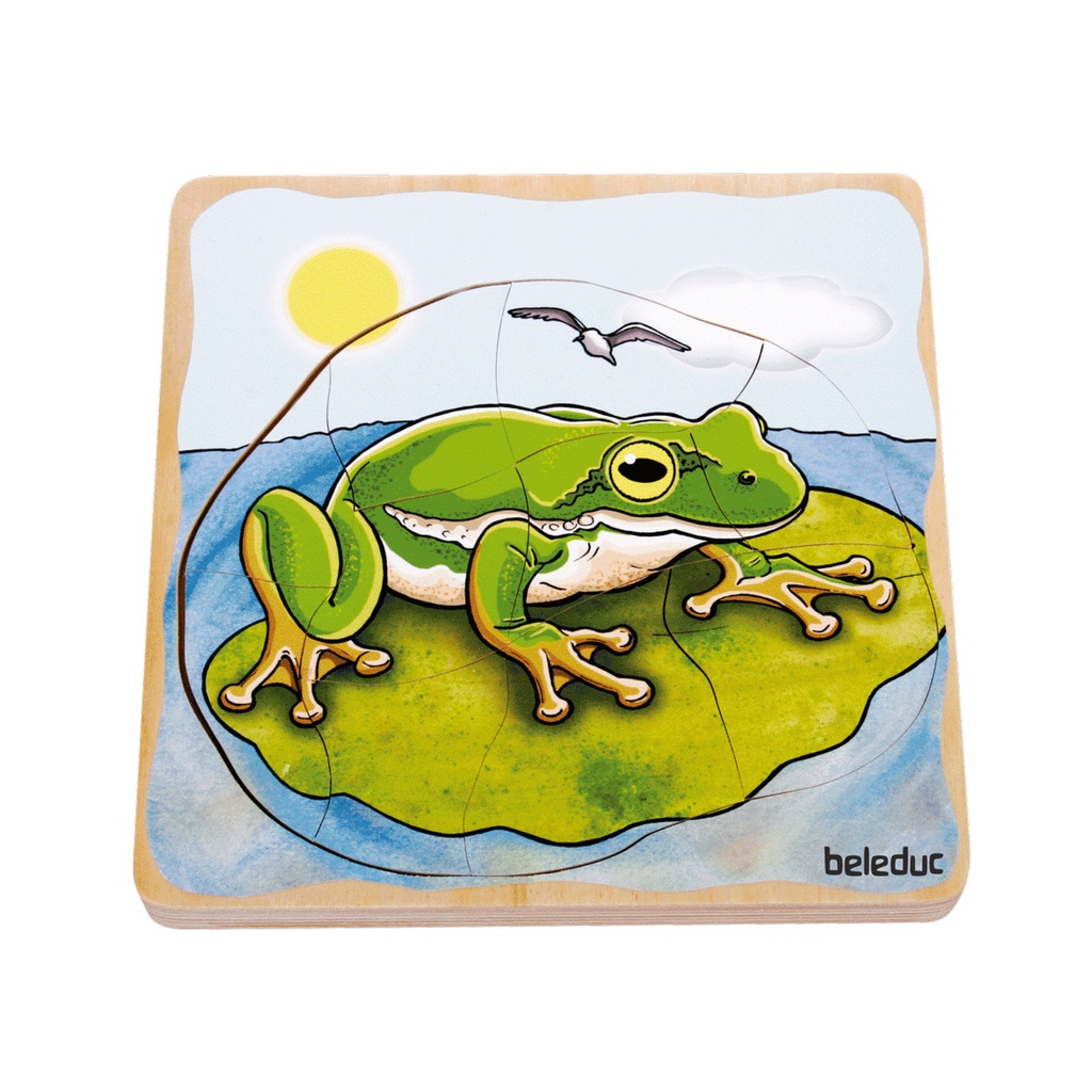 Lagen-Puzzle "Frosch"