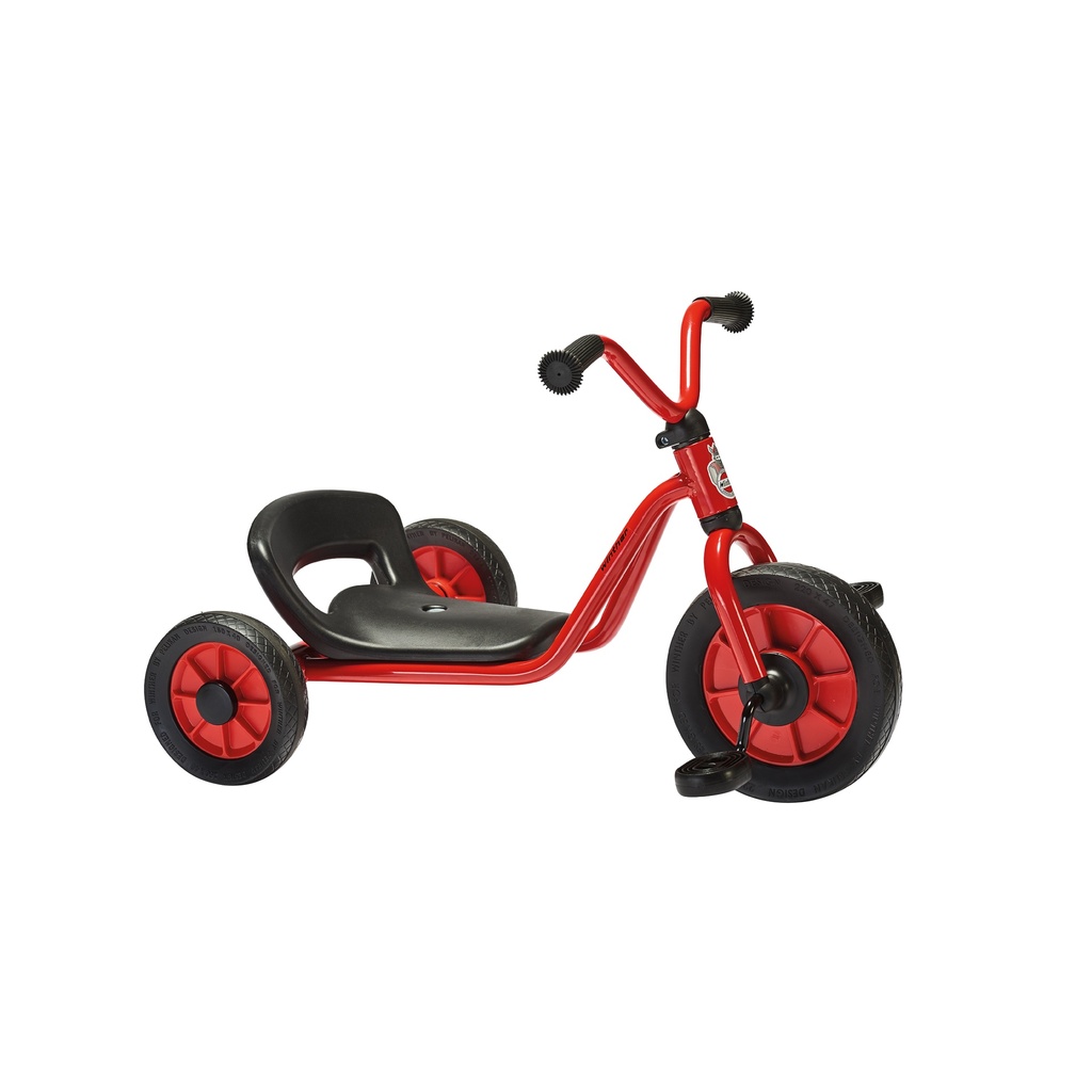 Mini Easy Rider