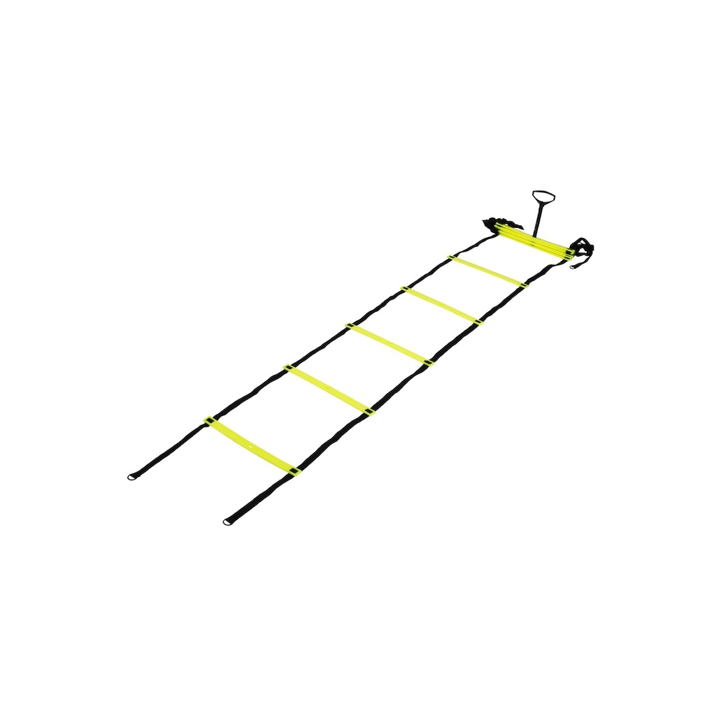 Agility Leiter
