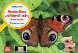 Kamishibai - Ameise, Biene und Schmetterling