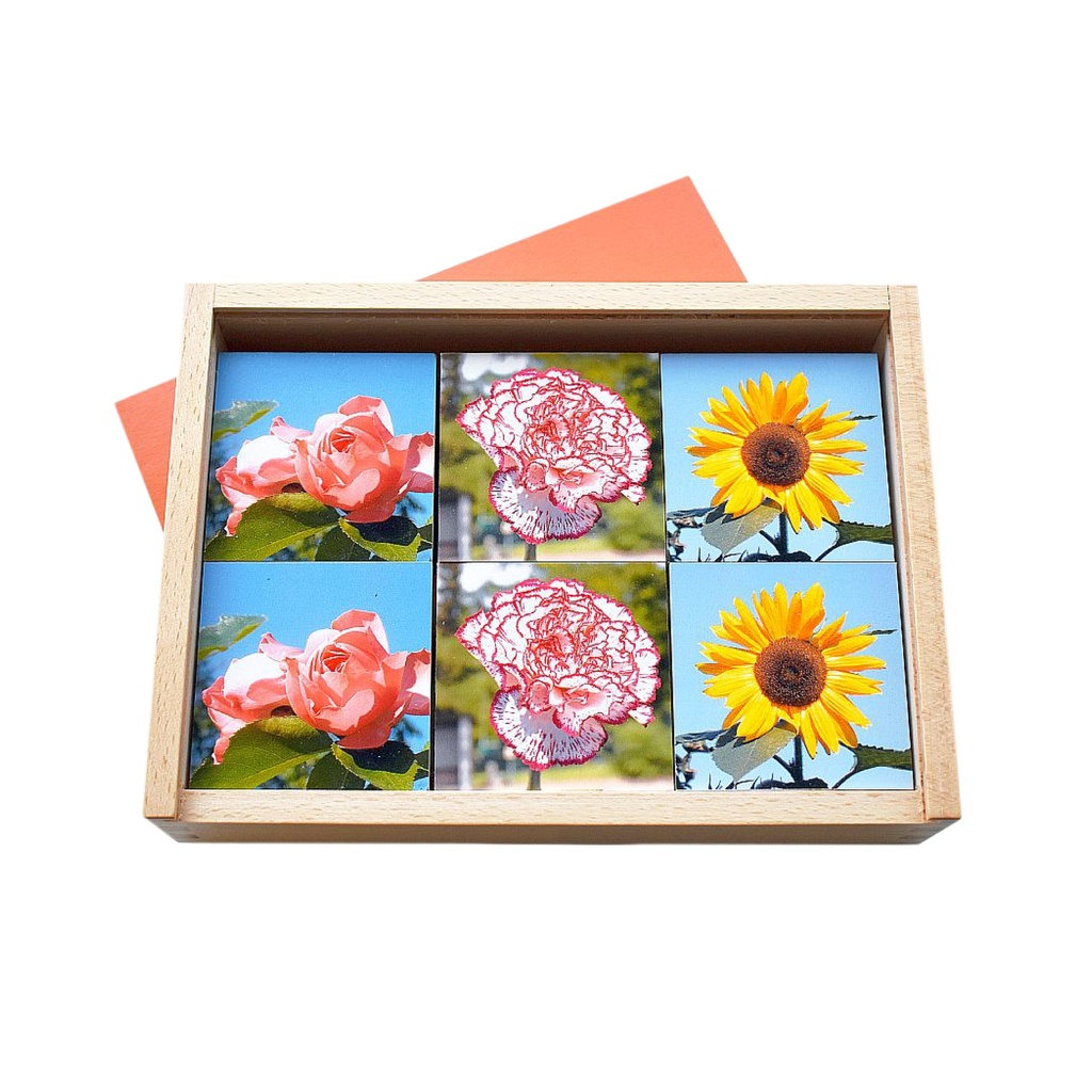 MEMO Blumen