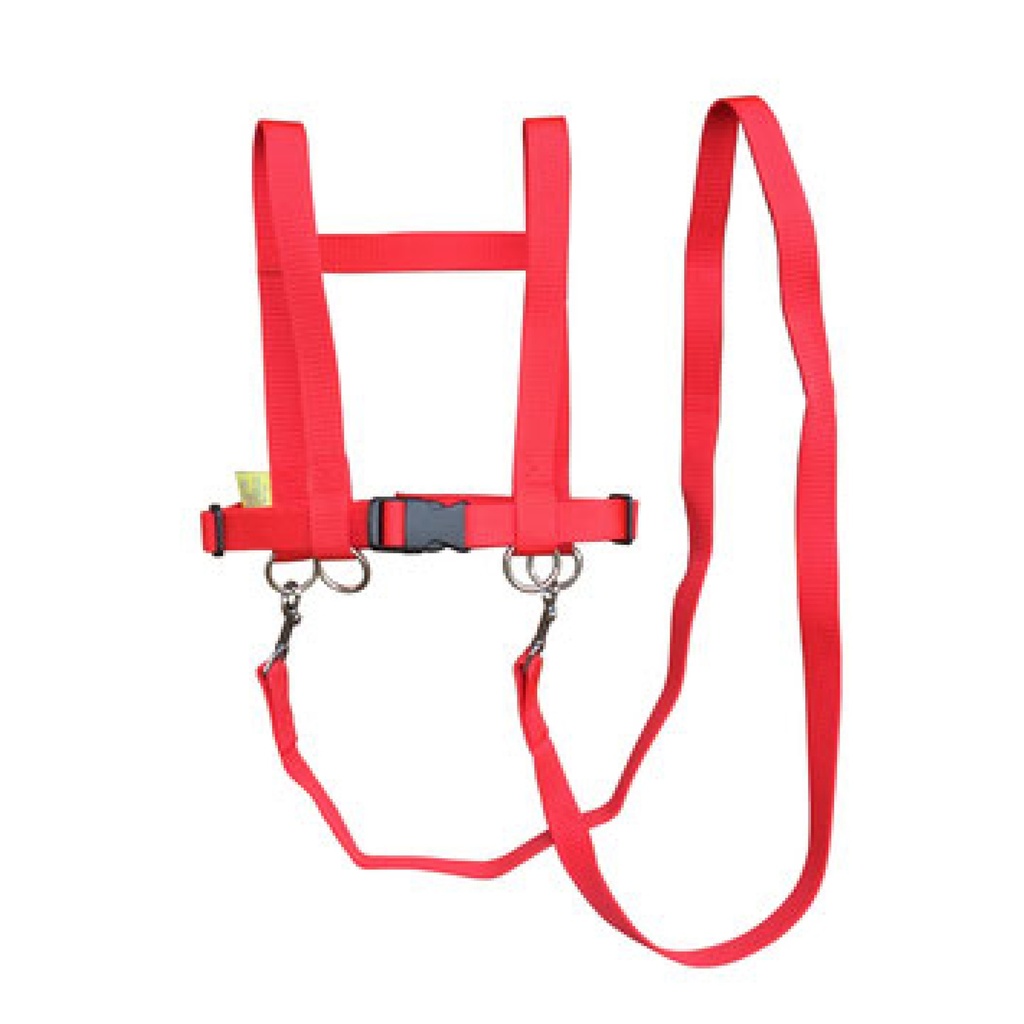 Pferdeleine - PP-Gurtband