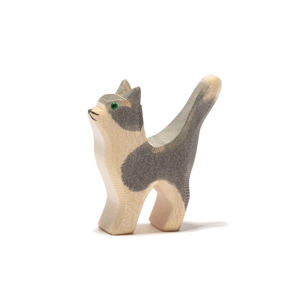 Katze 