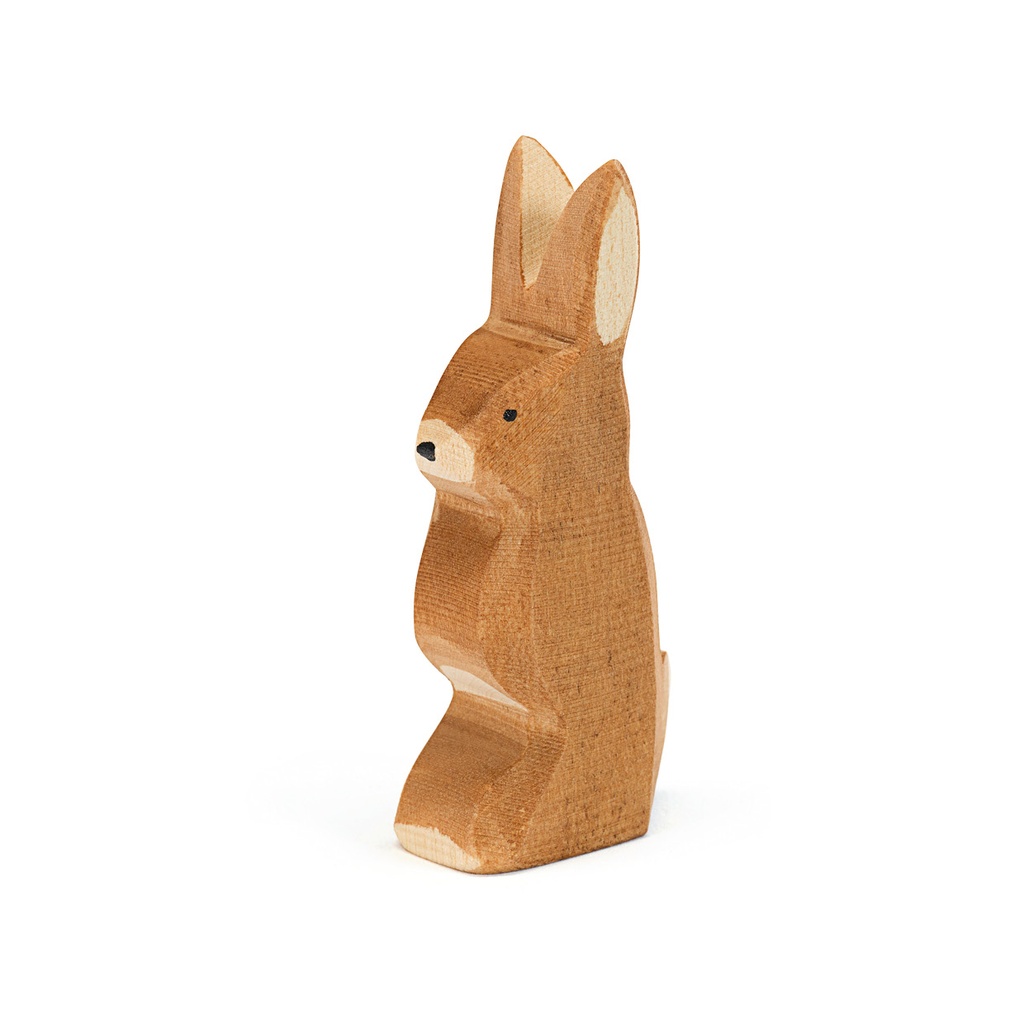 Hase