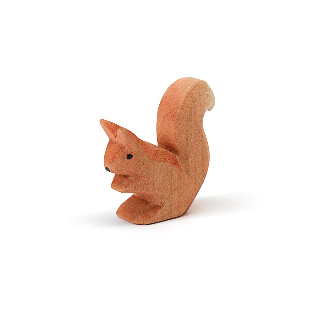 Eichhörnchen