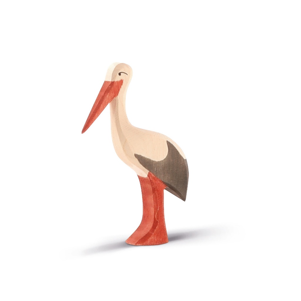Storch