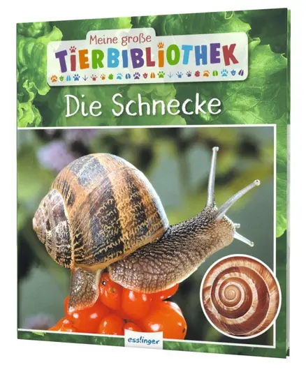 Meine große Tierbibliothek: Die Schnecke