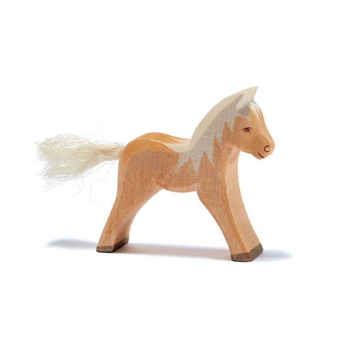 [105232W] Haflinger Fohlen