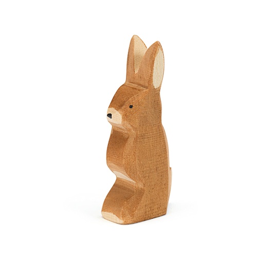 [105241] Hase